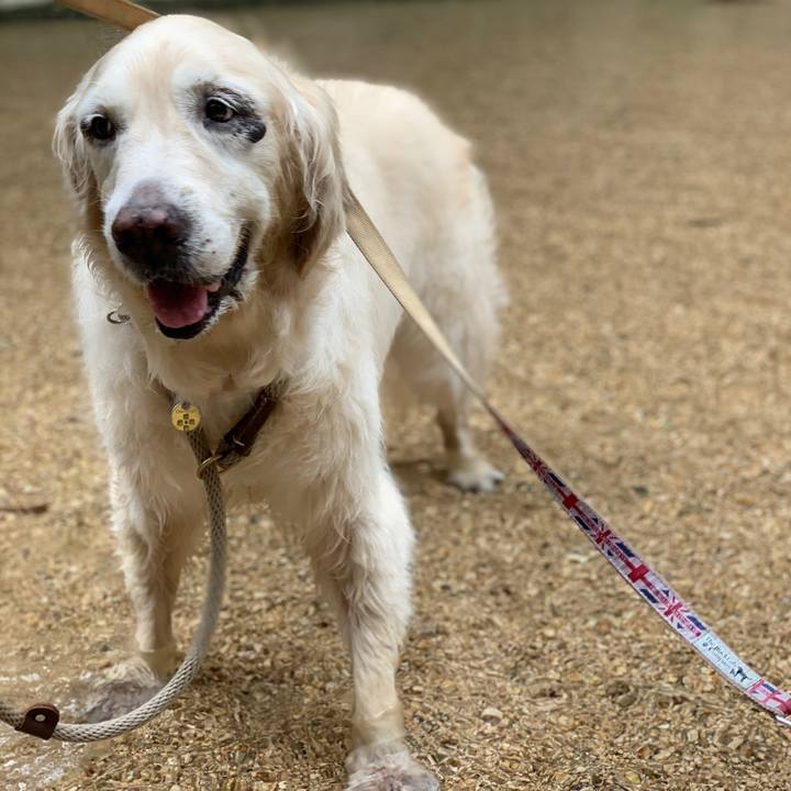 A5a2800f 2a71 40a8 aba0 152a4d69cfd4 1598140093390