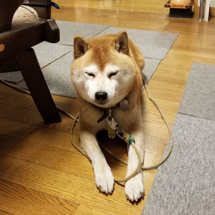 A5a2a797 f9be 4165 9c99 ef158e115333 1638781970917