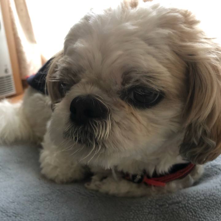 A5a2b0c0 1dac 48e1 8f7a 08b3eecf411a 1605563525794