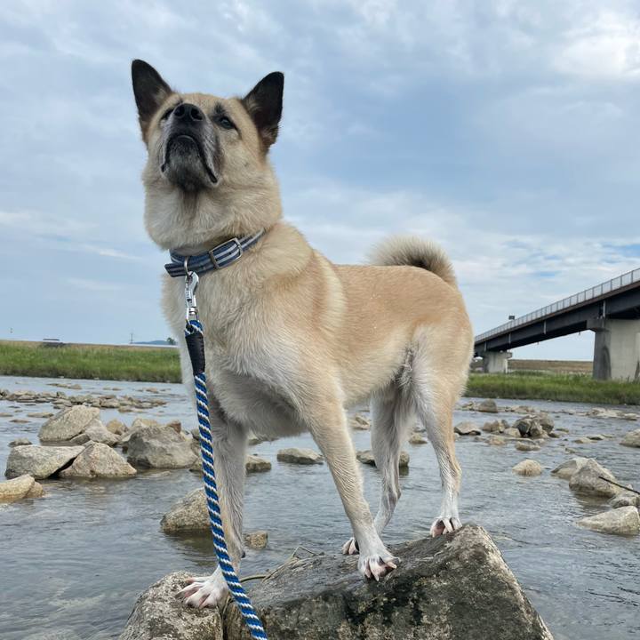 A5a2cd66 7f72 494d 832e 280a01889f8a 1661598007892