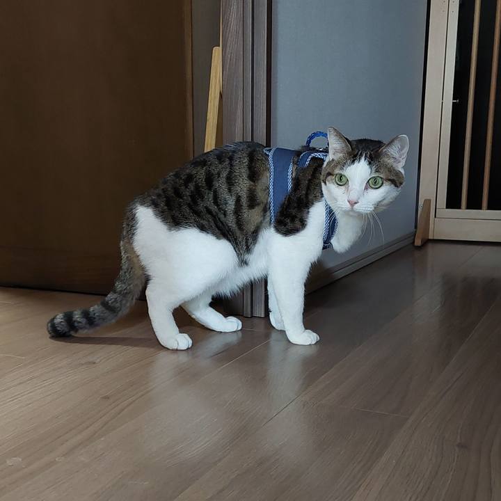 A5a2d79c c526 4b2a 85a1 2440a1cebc83 1644016928685