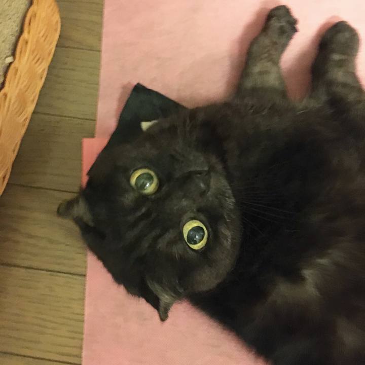 A5a31196 d2d2 4cf8 bf66 d086cd9998db 1583860364075