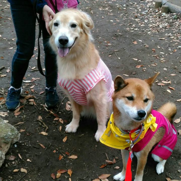 A5a313d8 7c28 40b6 aadf b55d5bcce88d 1560916271843