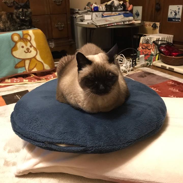 A5a3d27d 315f 4620 91bf 2dfbfc27a5b7 1547169288681