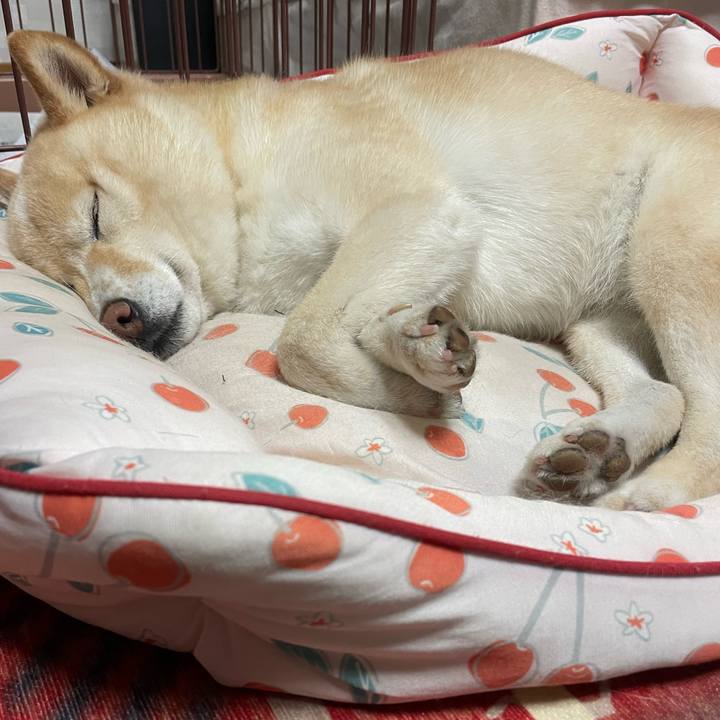 A5a3f6d4 5201 48e1 9abb 560f8da09f1f 1749648595350