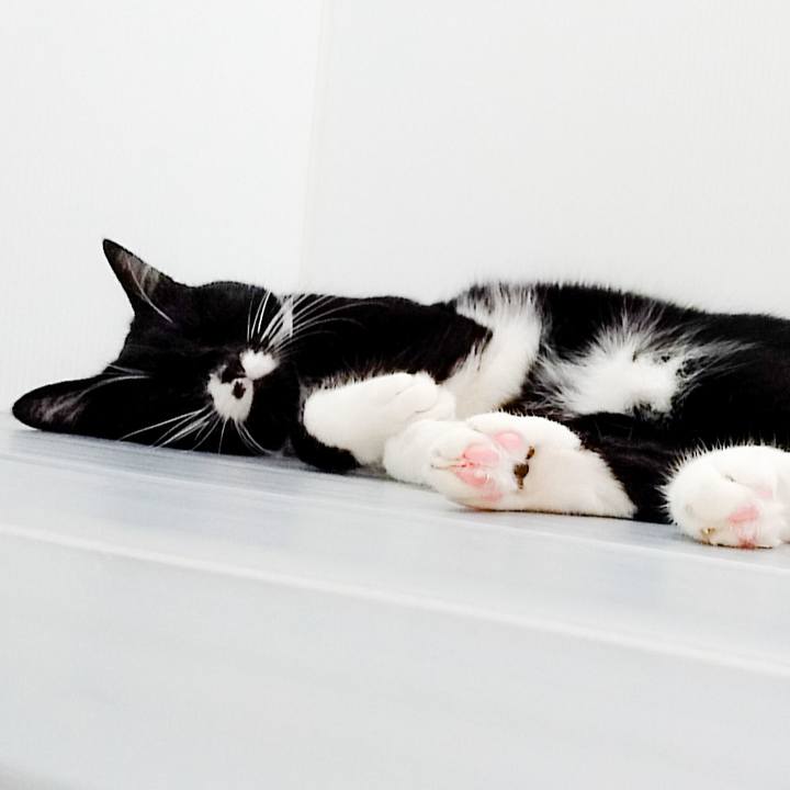 A5a428f8 5677 4b9f 871f 4b6a74920468 1507898666243