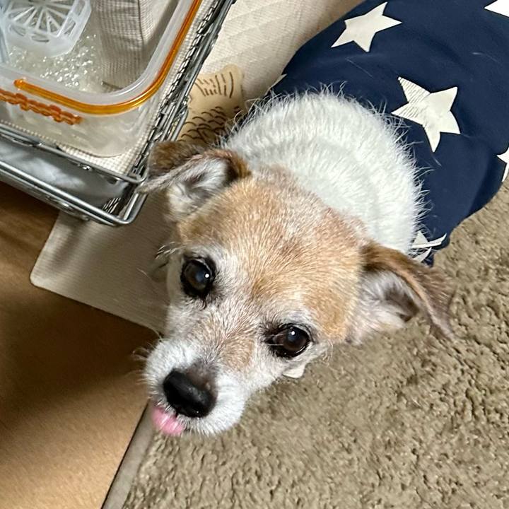 A5a434bf 259b 427a b51a a64e166166d3 1680649210952