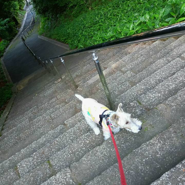 A5a43eba 5c4e 4df5 b33b 76ada25d518e 1622379410973