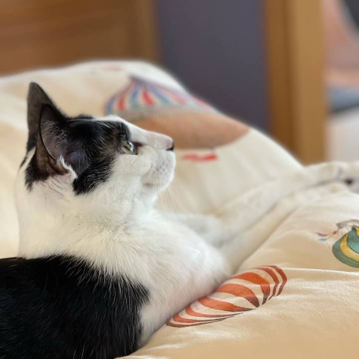 A5a44d49 9772 4372 a7fd 2b385fe00944 1634346431197