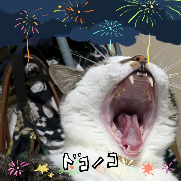 A5a4656c 3f00 4a15 b7a2 cbe3a553401e 1723255744818