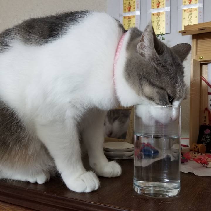 A5a48681 4f48 40b5 a87e d4da7a982bec 1576680207404