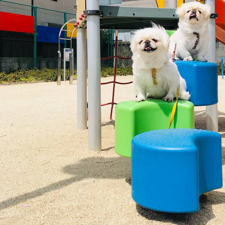 A5a4932e ceba 480d 82e4 68ececfdb3c9 1618355556168