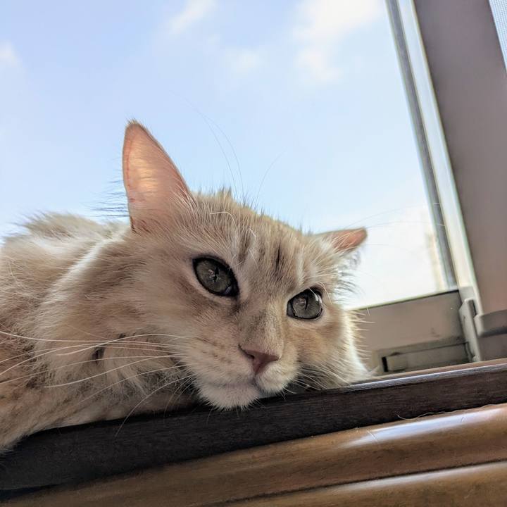 A5a4a273 38e2 4166 a36e 4dd90a71207d 1757471309350