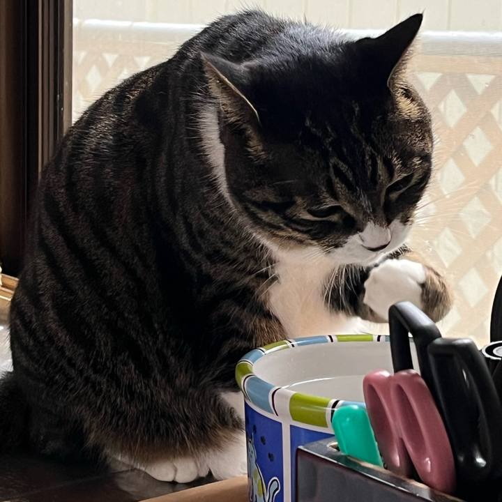 A5a4a56b a899 44fb bf48 d73b7834b62b 1767570981605