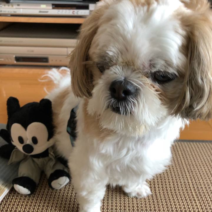 A5a4dffd 987a 4e84 8e18 891666a22c68 1531258933887