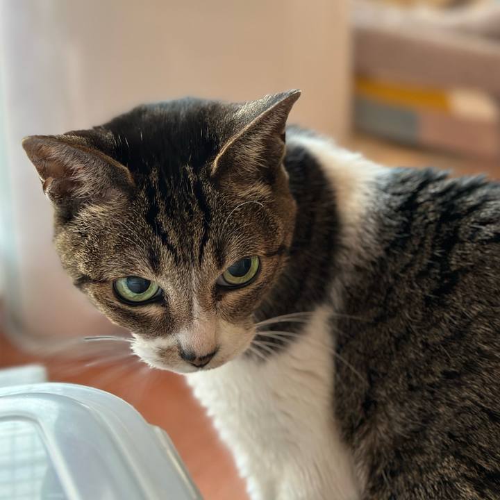 A5a4ec00 e9d7 45af a67c cc6e1f42944d 1672874907292