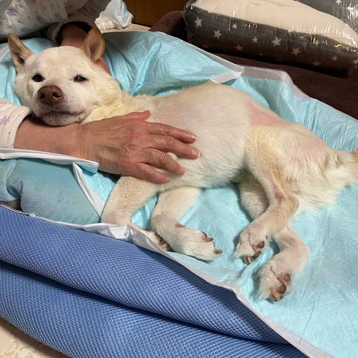 A5a54141 e003 4807 913b d441f5438c95 1673898827628