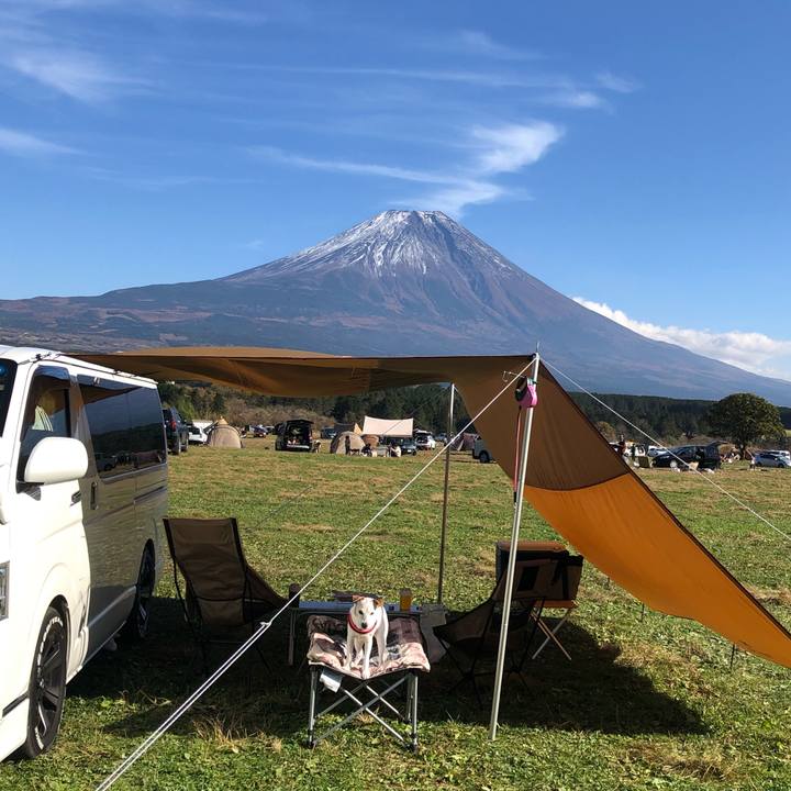 A5a583e9 a2cc 426a 97dd 49063dc59d94 1573969379604