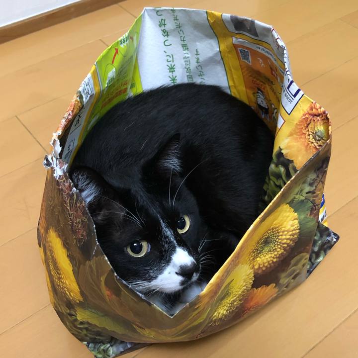 A5a5a600 6133 4bb2 977b 18afe9667d87 1623813231469