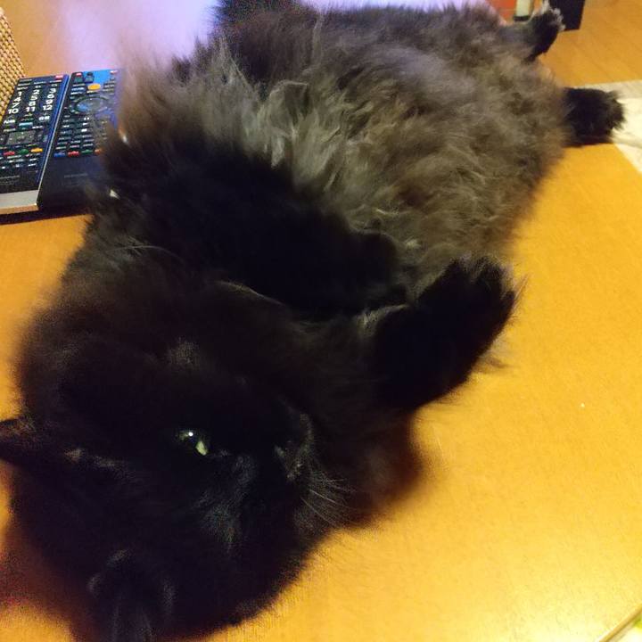 A5a60fa0 256d 4b5e 90df c5b557d90e57 1642335463874