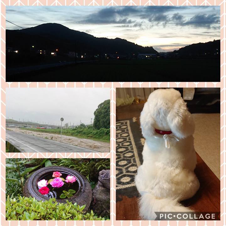 A5a65250 7ba1 42e4 9728 6f3933f41fae 1595938282812