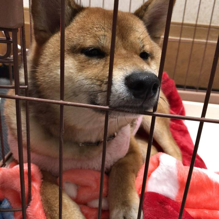 A5a671d6 9079 4cd9 90bc 0c8c195ef3a3 1519876998972