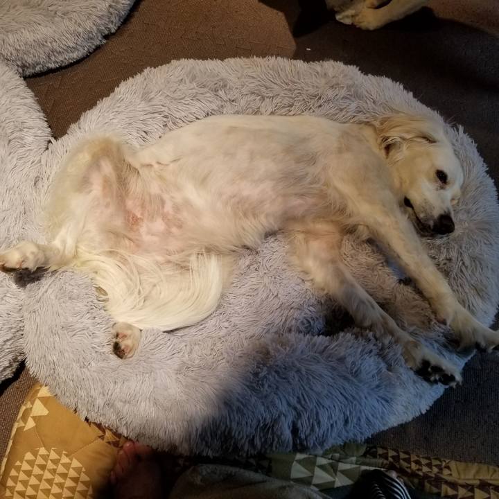 A5a69598 d131 4373 a43a 78fd2e4c9b88 1611410112064