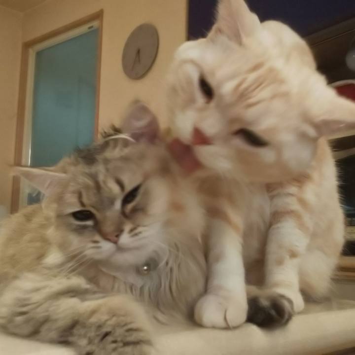 A5a6d83d d2ba 4e9c 9f20 99df3432edcc 1563828315666