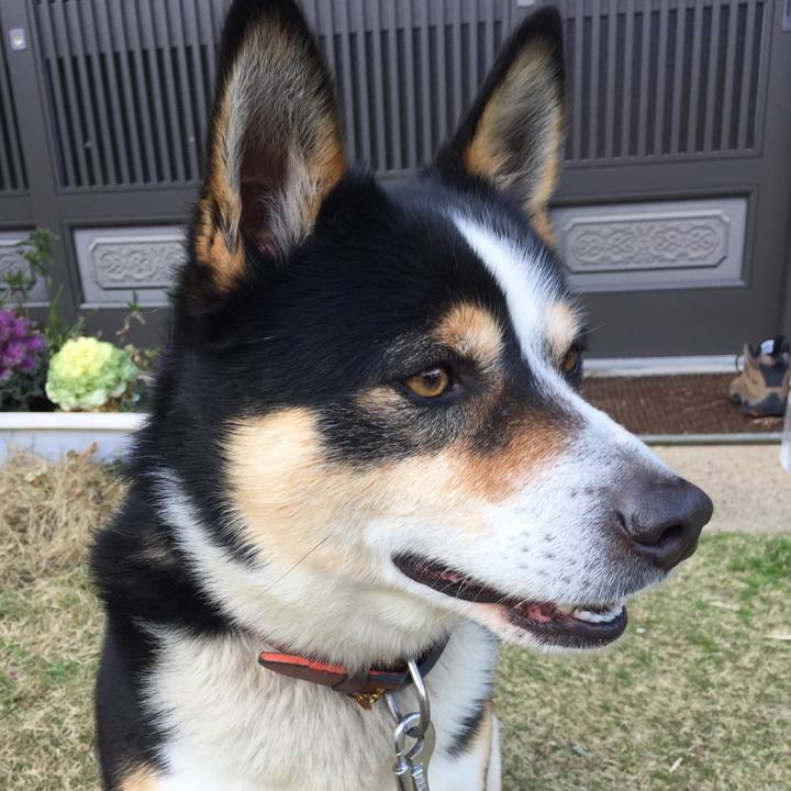 A5a6f427 3fa8 4eb7 af1c 6dada7be5303 1525977248488