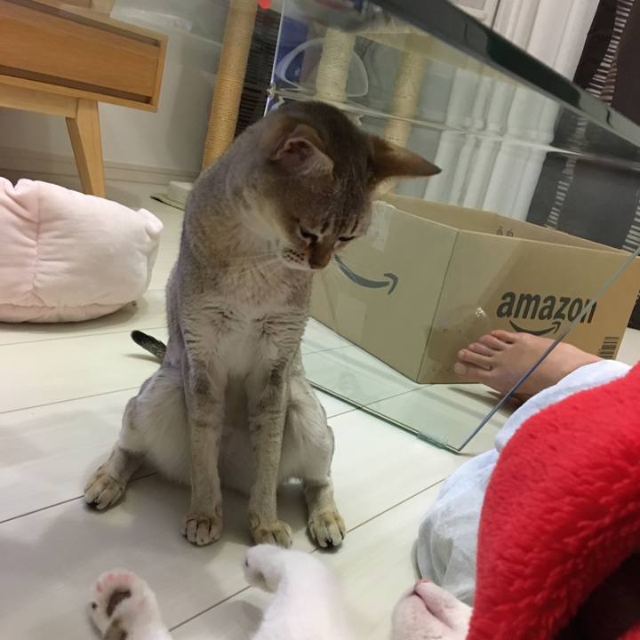 A5a736fc 921e 4564 bf71 a697a2b8b3f5 1510231394525