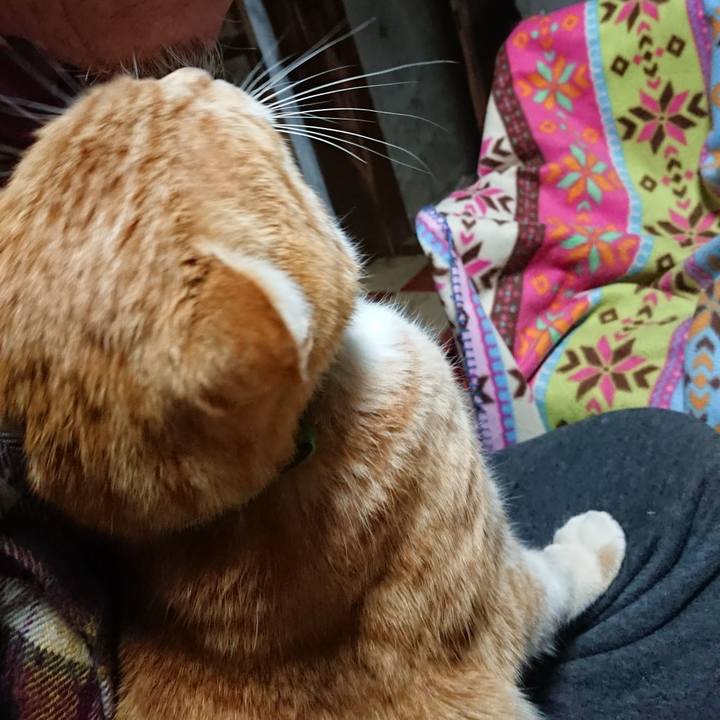 A5a759ac b4ac 4ad7 a55c a0b84f439c30 1584907985513