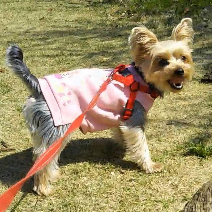 A5a75db5 3c16 4228 a1c5 a45480fb3091 1616556668052