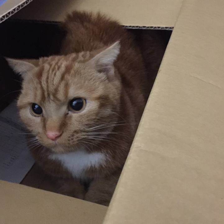 A5a76265 758d 4eb7 ab5f b2a4e6c30ace 1544536759928