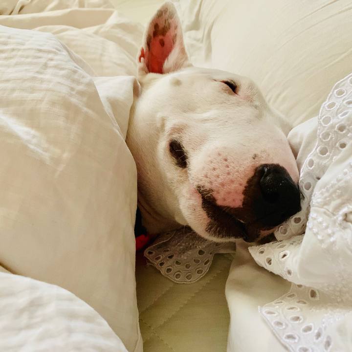 A5a77ebd d1ac 483c 84c5 ed56f261eaa7 1545275492632