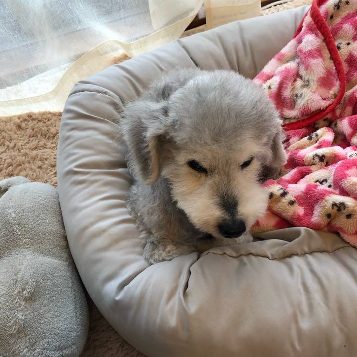 A5a792c4 5743 4d04 99bd c0e637872ec0 1652404954433