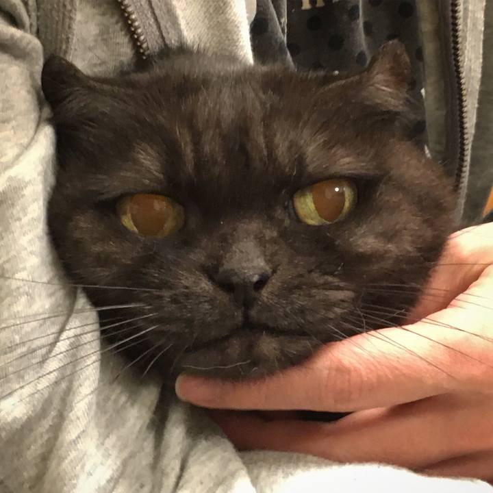 A5a7a07a 4d0b 4b75 a9d6 4627e0b48da0 1571710160920