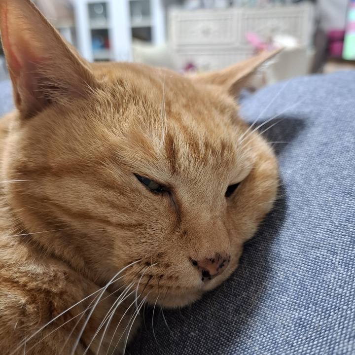 A5a7dfe0 63d9 4cee b789 e99e5c976a41 1750155200131