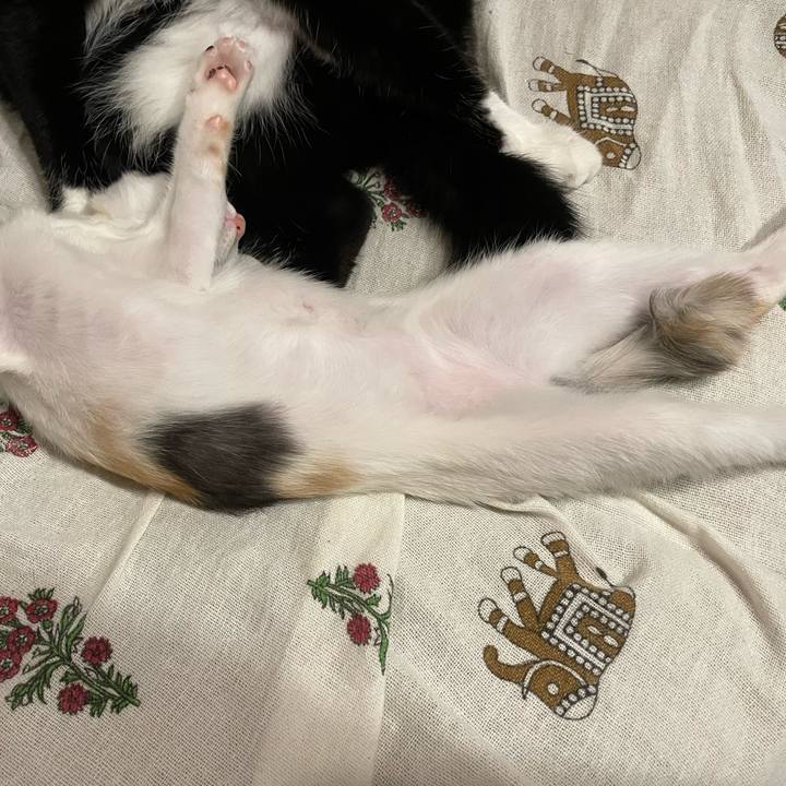 A5a7e244 f5ac 4f07 89bc d3c3c62e0714 1660740721009