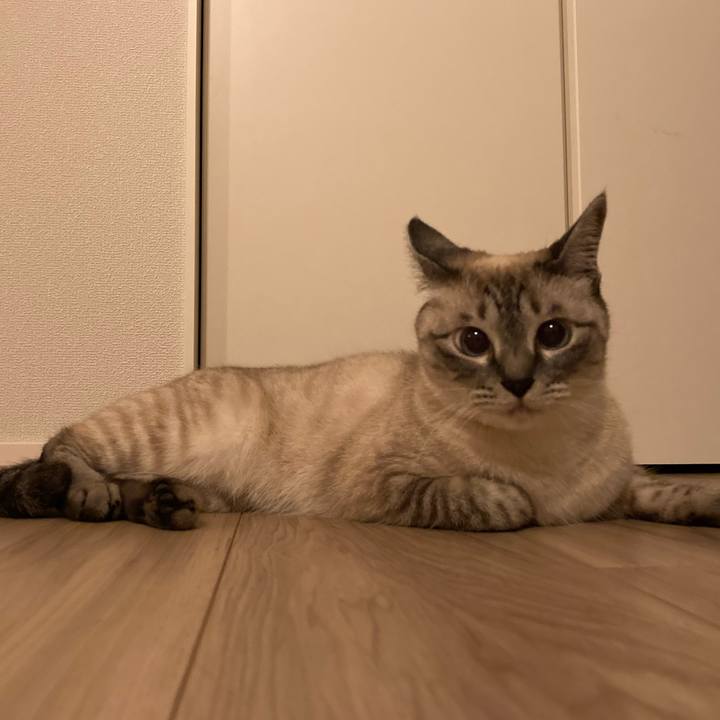 A5a7eda2 e25e 4492 97ae 821af8d039c4 1624798992755