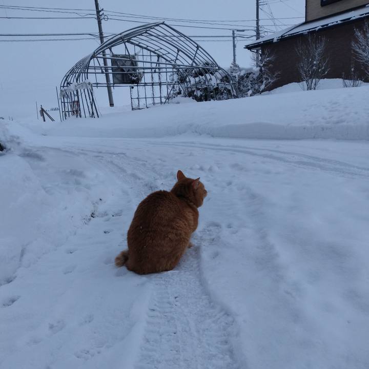 A5a83f5c 121e 4b64 a388 0482d93a66f4 1675035556524