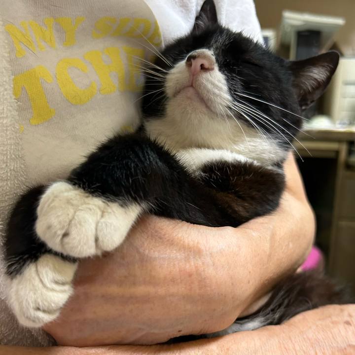 A5a8499e 6434 4ab5 9e9d 0b272ba442af 1720695486964