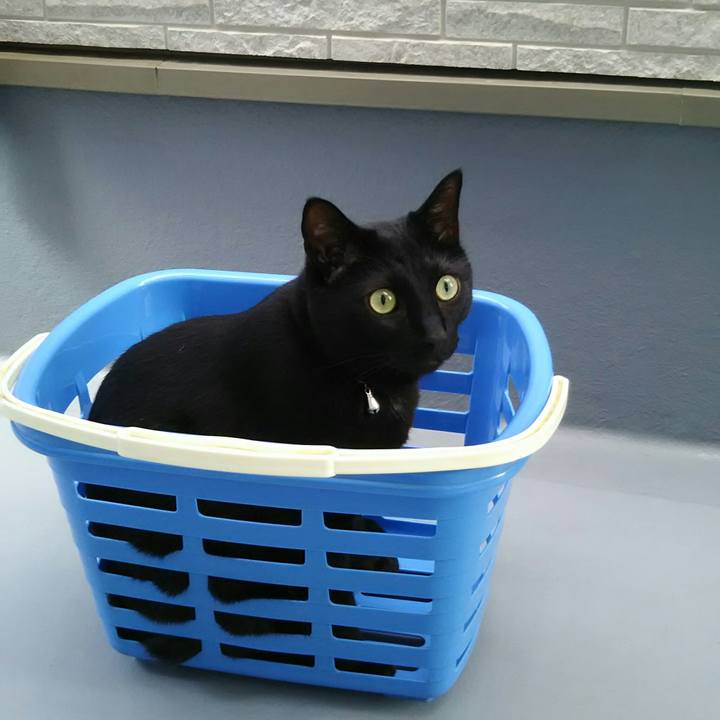 A5a865ca 8f40 4b02 b265 955c7071e911 1528846079384