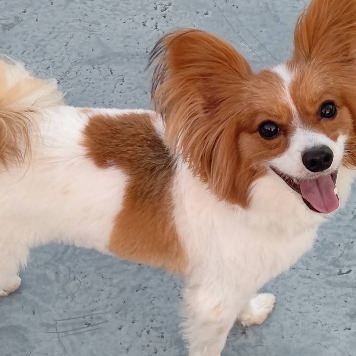 A5a8b700 c030 49bf 8036 285fe0856114 1655259562477