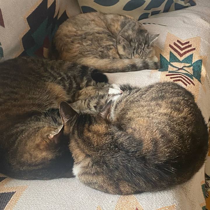 A5a8d542 e83a 49e9 8b68 bd3eba556b3c 1721016297972