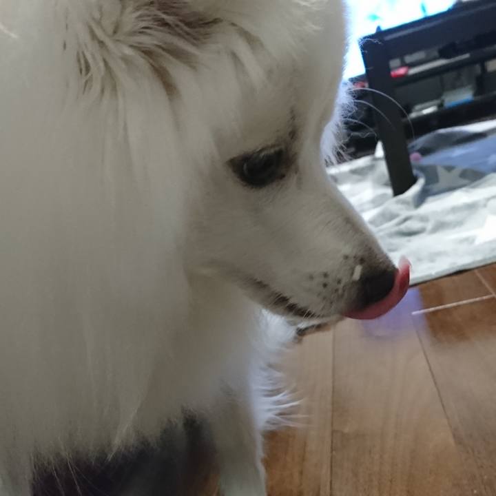 A5a8fc45 b8f4 415c 9a39 ca75e7950fa5 1583663891666