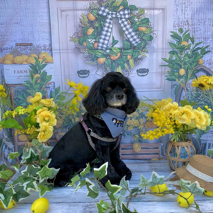 A5a9147e 1f83 4a60 a5d2 8dad8959459c 1684730577070