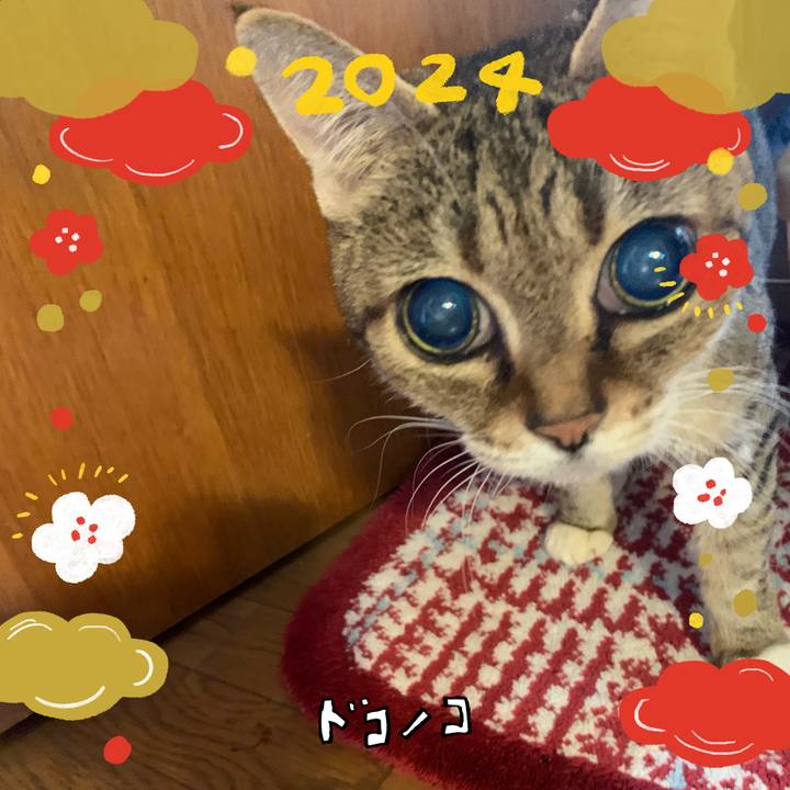 A5a938a0 2194 4931 866b 249cfffbd8a8 1704087867322