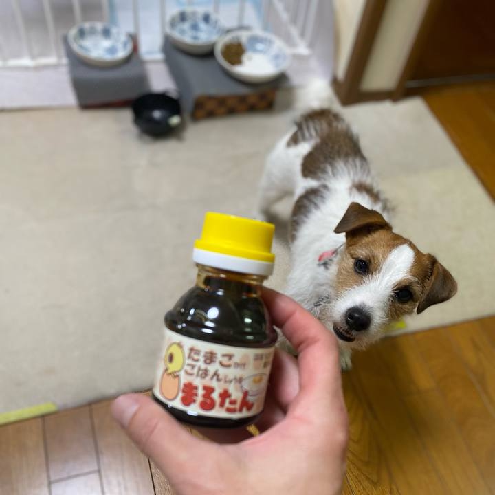 A5a93a9e 71f0 4860 ae7b f7045c3a87e5 1705443816885