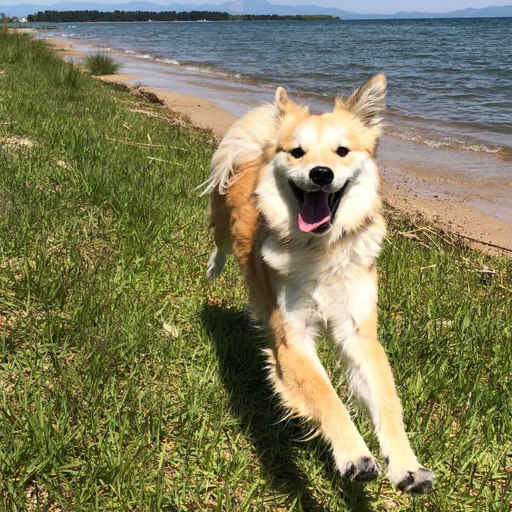 A5a955cc dd53 4315 913b 7be62da57444 1526029224954