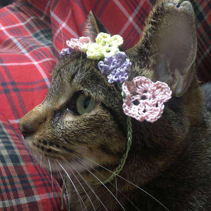 A5a96dcf 2a60 46fb b075 6726fd726275 1585993480813